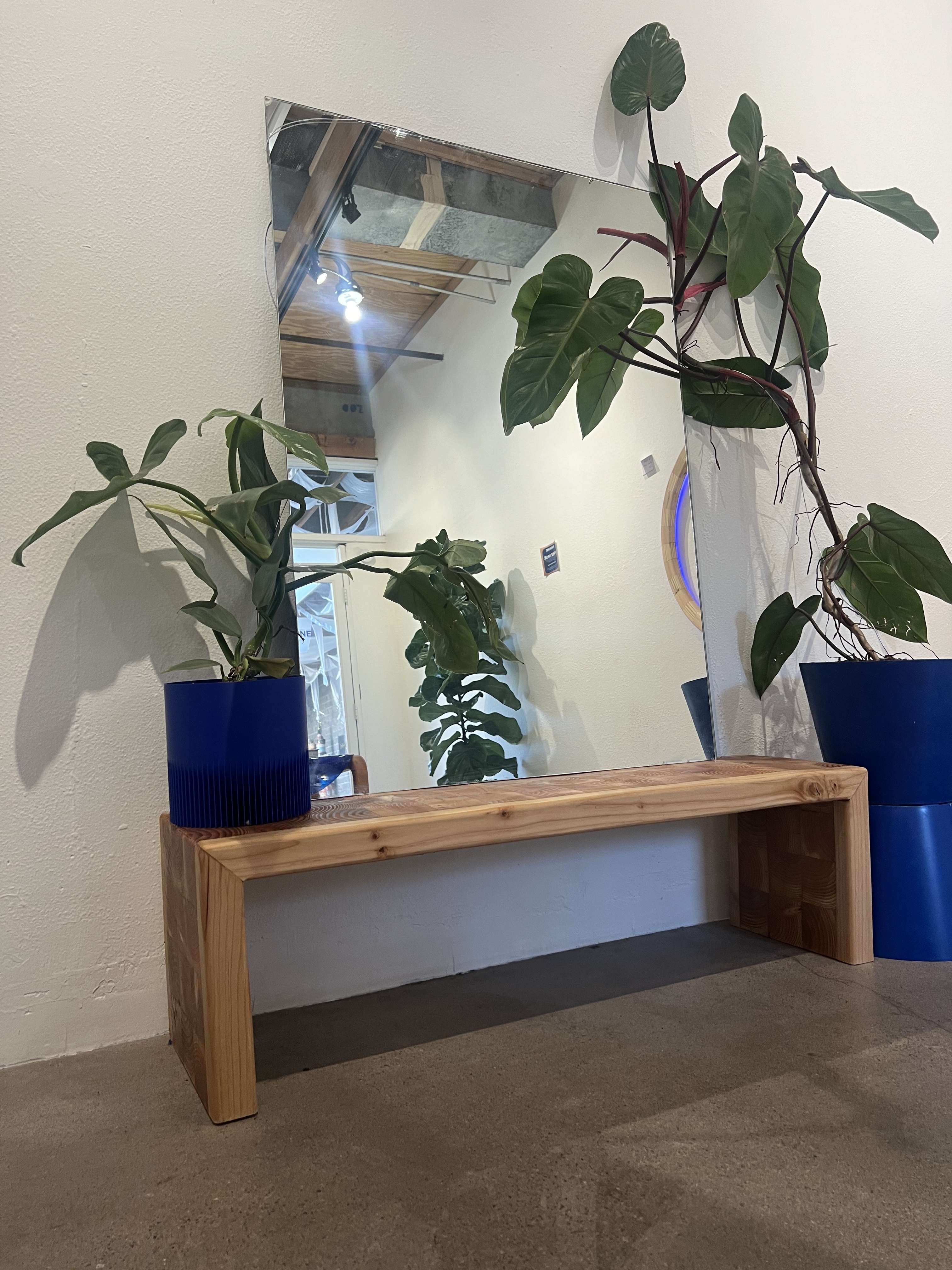 Wood short table with mirror and plants